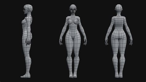 blender body model